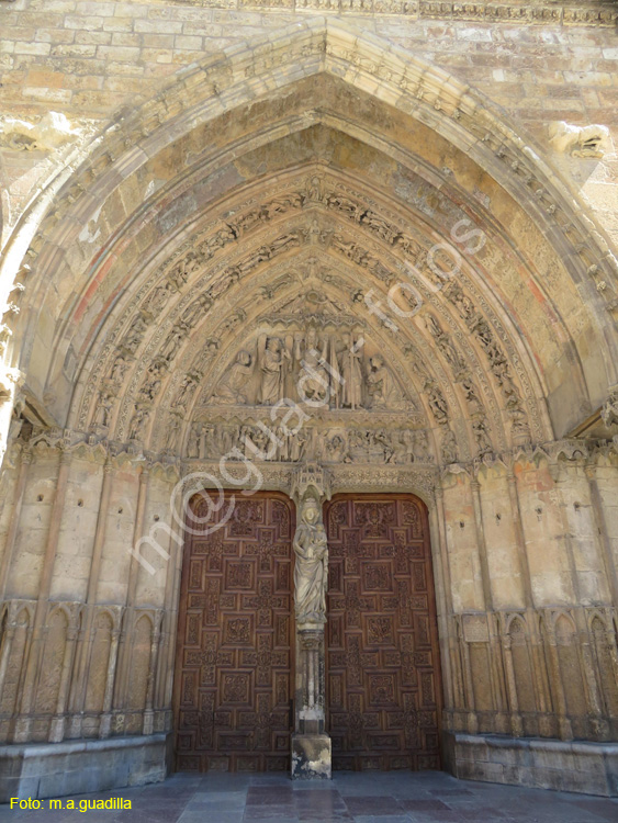 LEON (365) Catedral