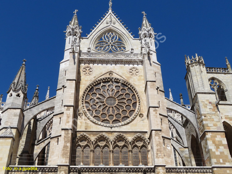 LEON (371) Catedral