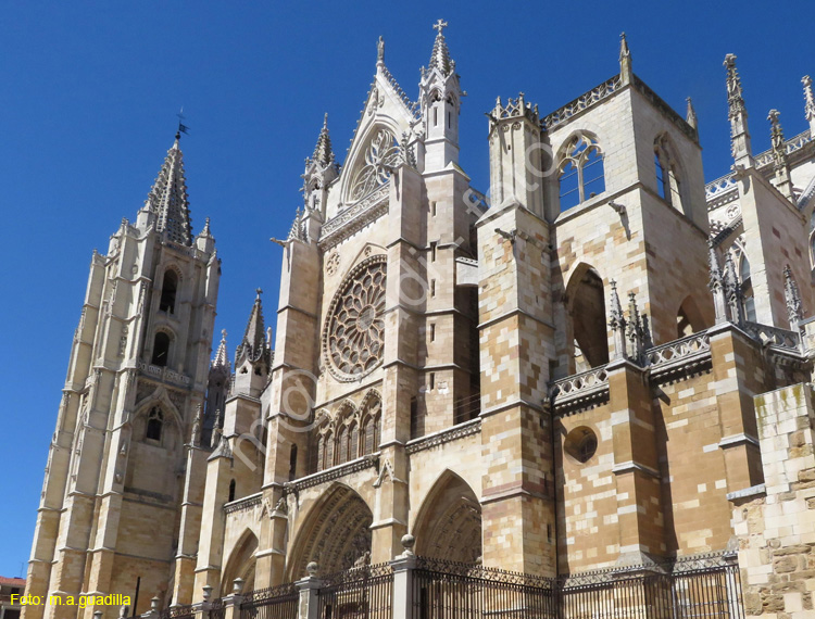 LEON (375) Catedral