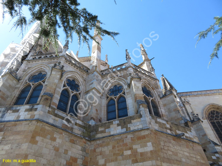 LEON (376) Catedral