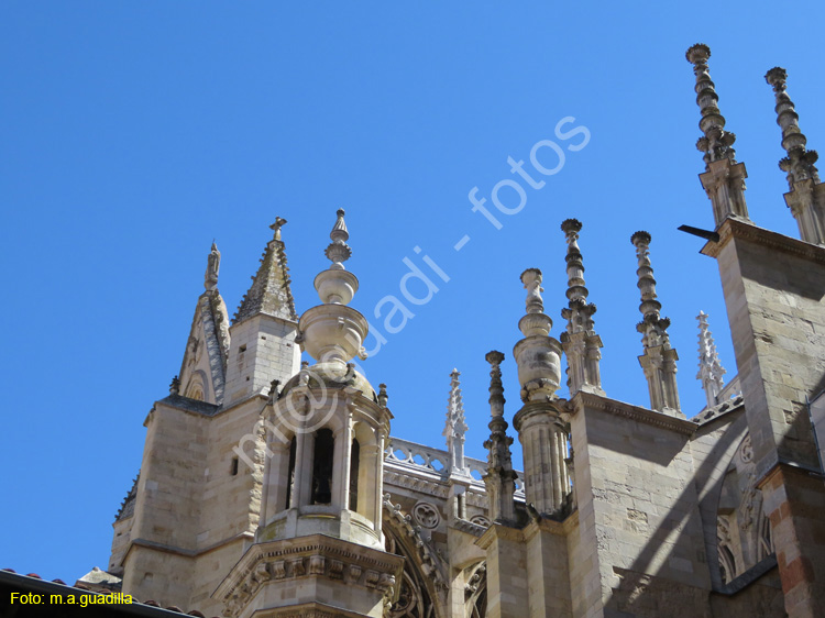 LEON (378) Catedral