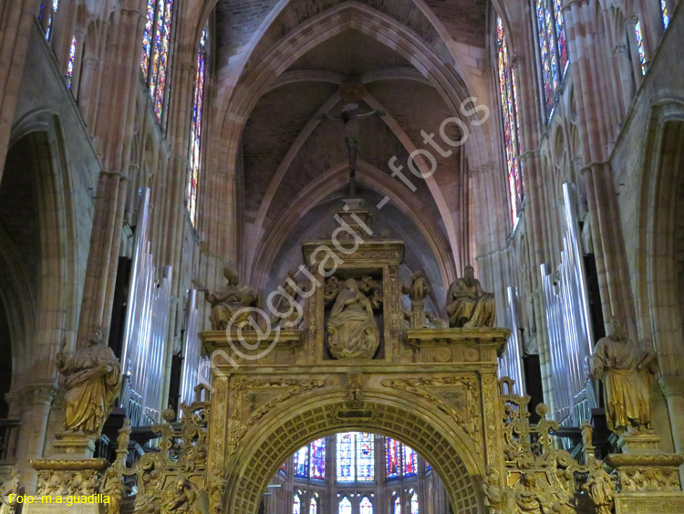 LEON (381) Catedral