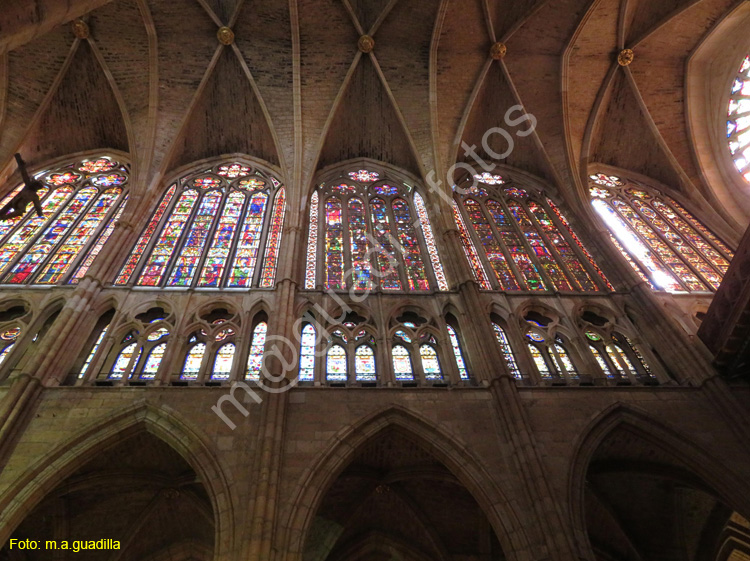 LEON (387) Catedral