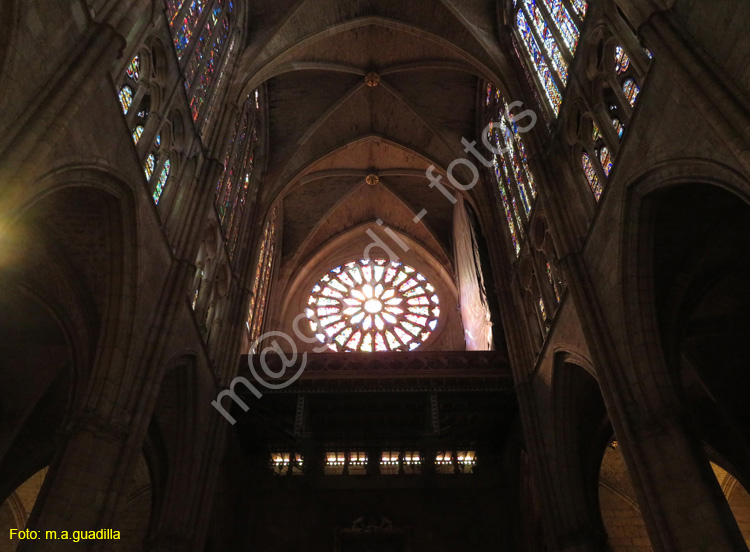 LEON (388) Catedral