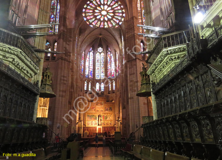 LEON (390) Catedral