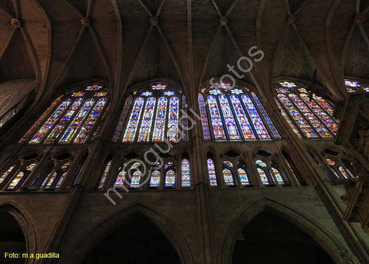 LEON (392) Catedral