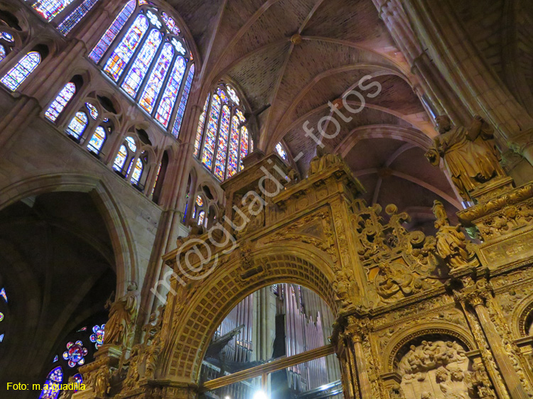 LEON (393) Catedral