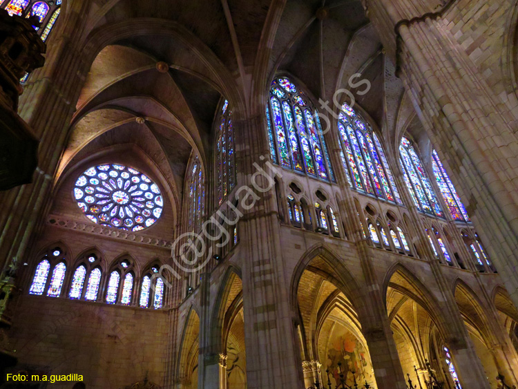 LEON (397) Catedral