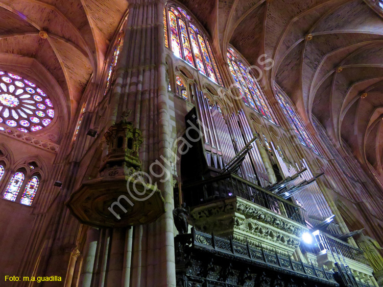 LEON (401) Catedral