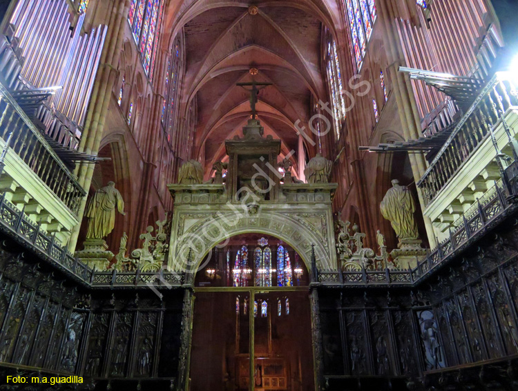 LEON (409) Catedral