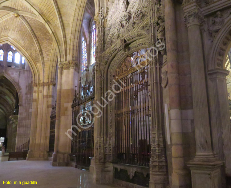 LEON (417) Catedral