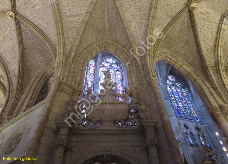 LEON (428) Catedral