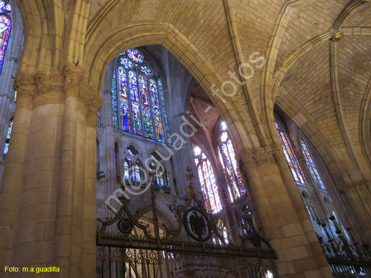 LEON (431) Catedral