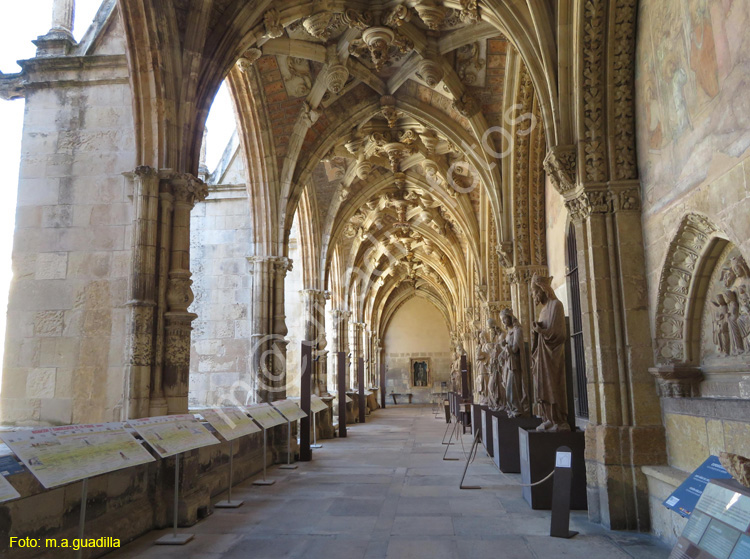 LEON (443) Catedral