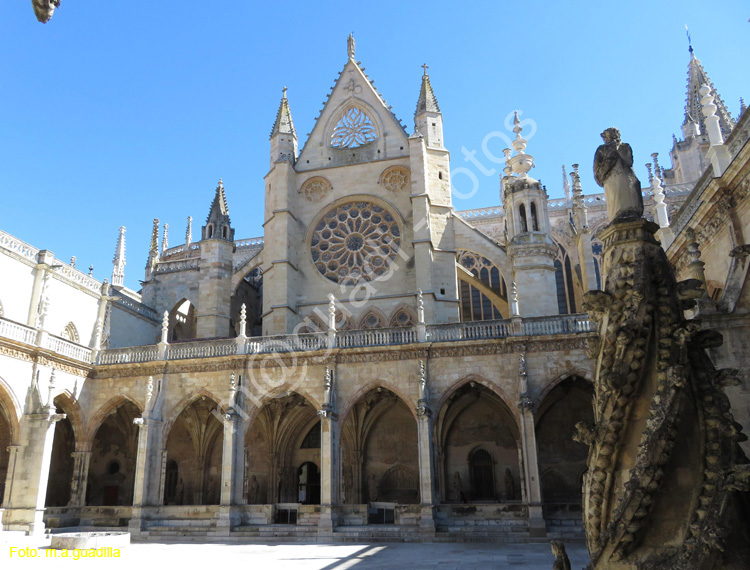 LEON (451) Catedral