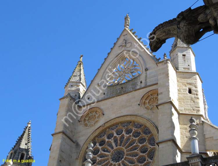 LEON (452) Catedral