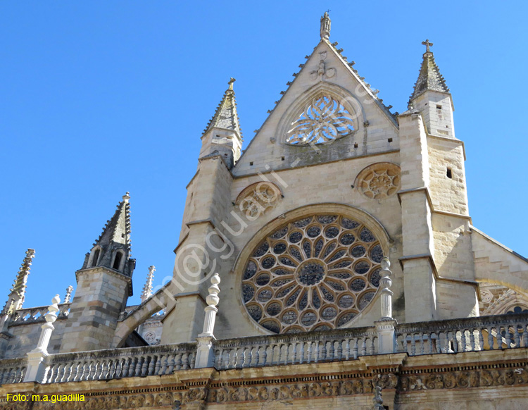 LEON (454) Catedral