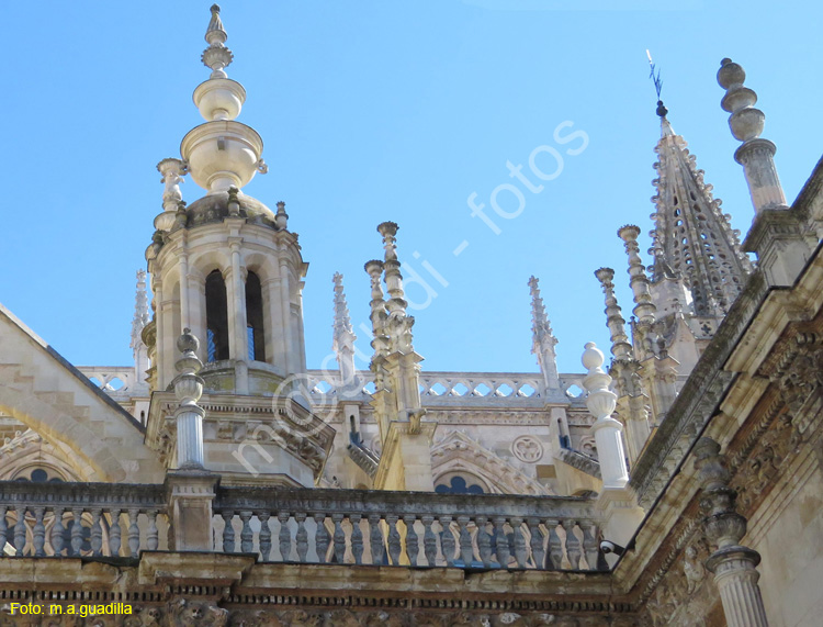 LEON (455) Catedral