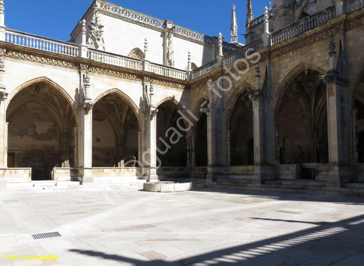 LEON (456) Catedral