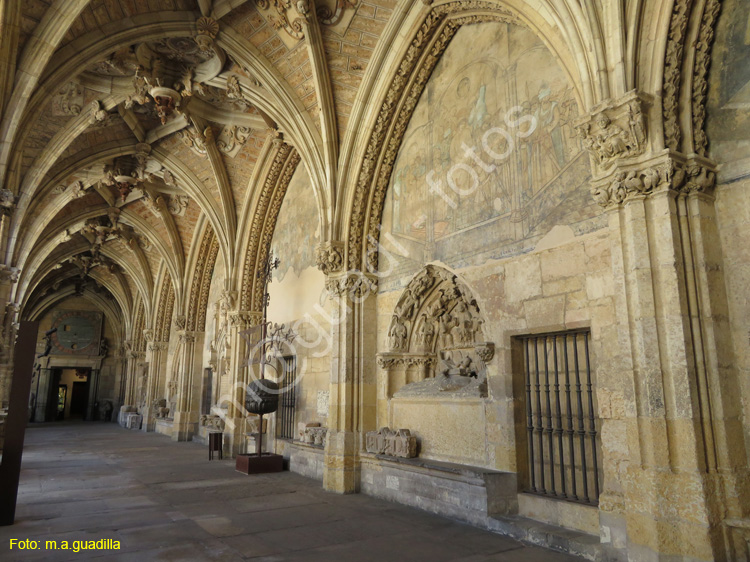 LEON (462) Catedral