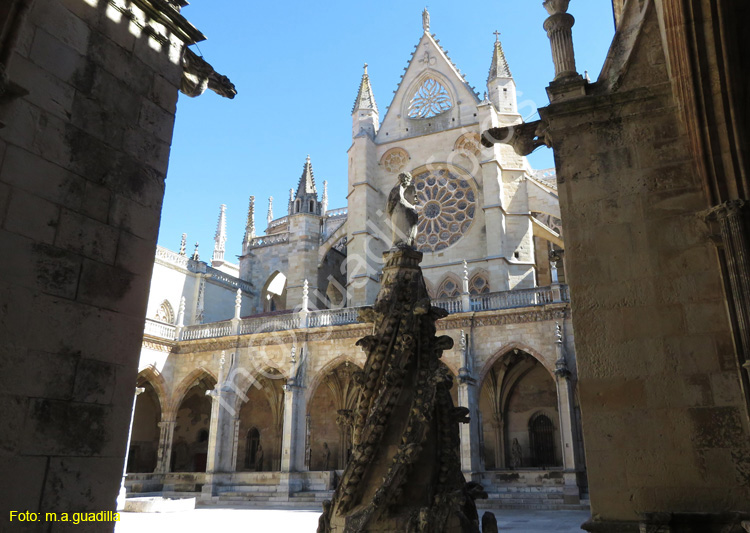 LEON (464) Catedral