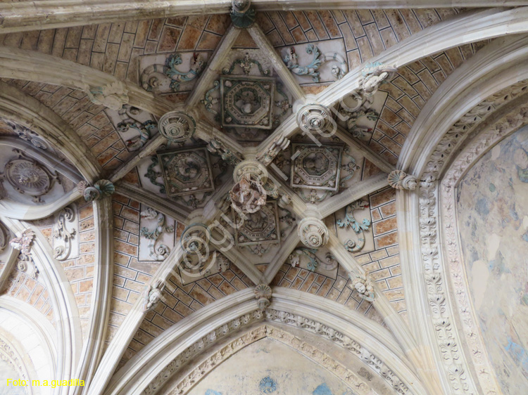 LEON (467) Catedral