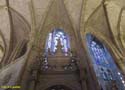 LEON (428) Catedral