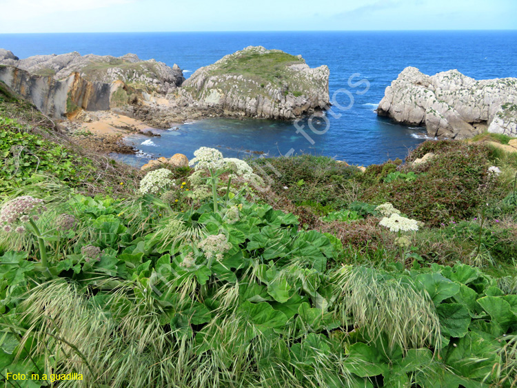 LIENCRES (101) Playa de Somocuevas