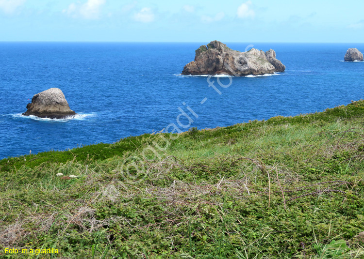 LIENCRES (108) Playa de Somocuevas