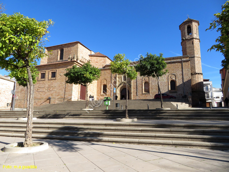 LINARES (112) Basilica de Santa Maria la Mayor