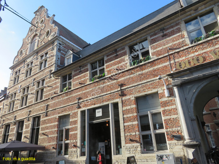 LOVAINA (173) cl Muntstraat