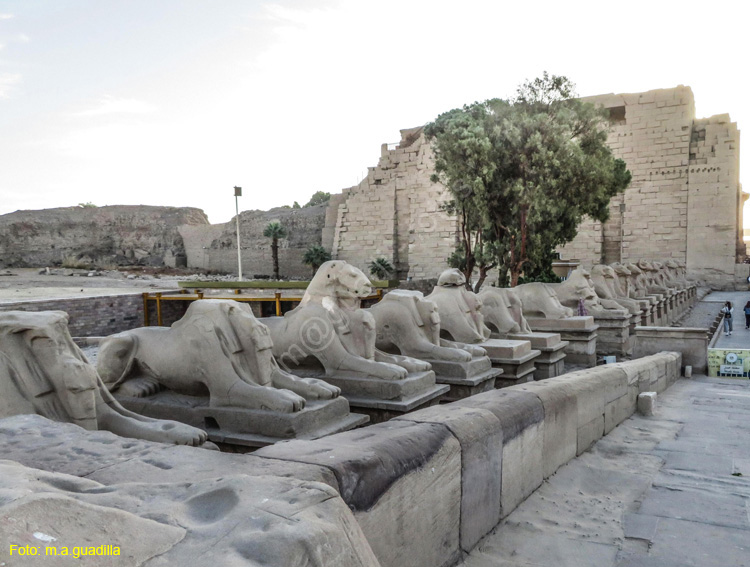 LUXOR (108) Templo de Karnak