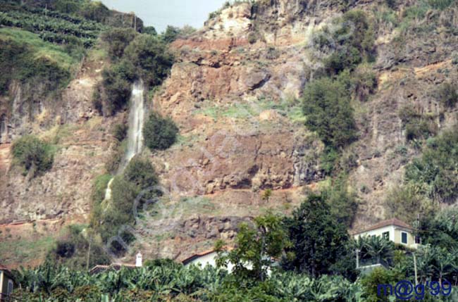 MADEIRA 014 - Punta del Sol