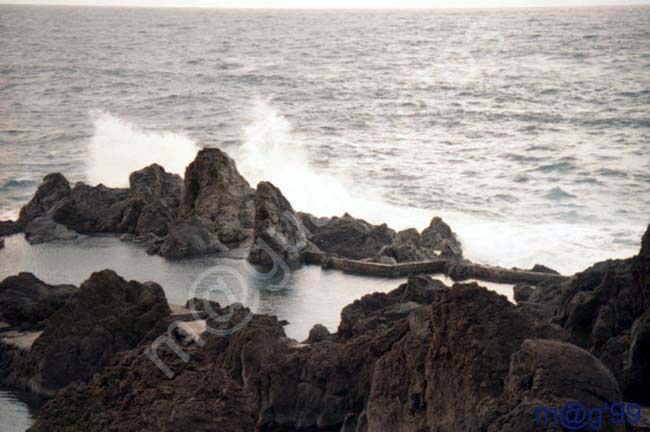 MADEIRA 024 - Puerto Moniz