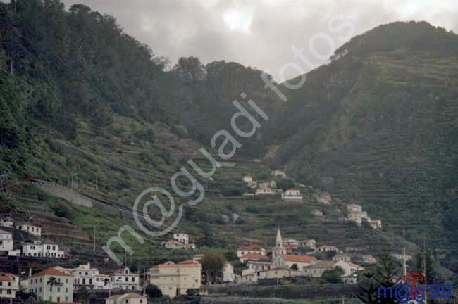 MADEIRA 025 - Puerto Moniz