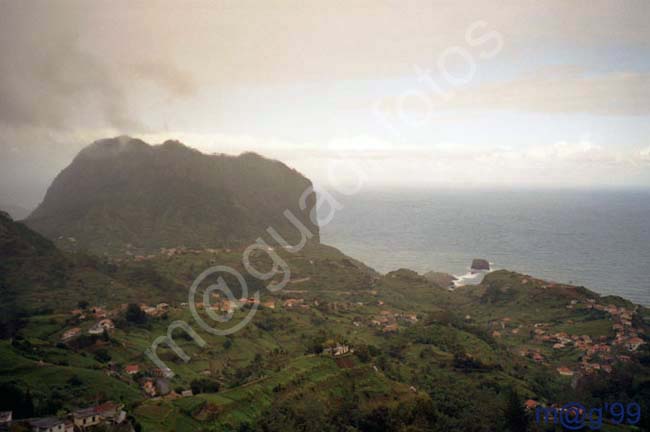 MADEIRA 044 - Canical