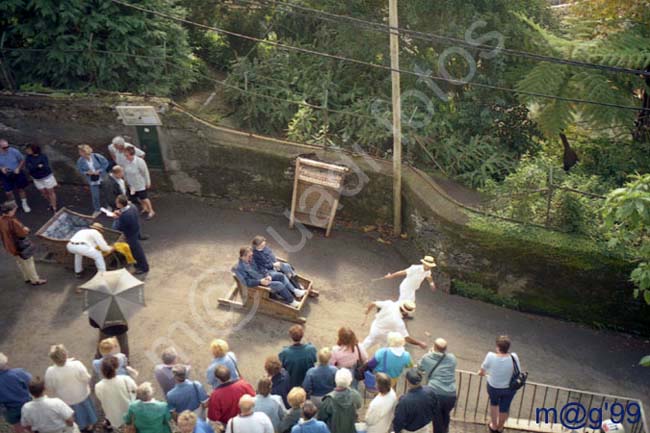 MADEIRA 050 - Monte