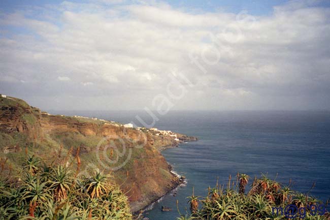 MADEIRA 052 - Ponta do Garajao