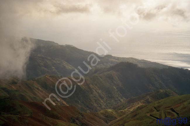 MADEIRA 058 - Paul da Serra