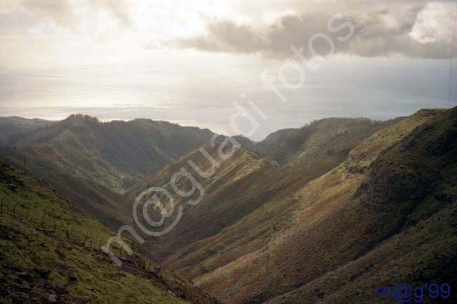 MADEIRA 059 - Paul da Serra