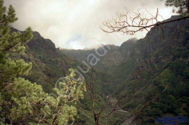 MADEIRA 061 - Paul da Serra