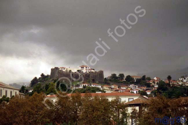 MADEIRA 068 - Funchal