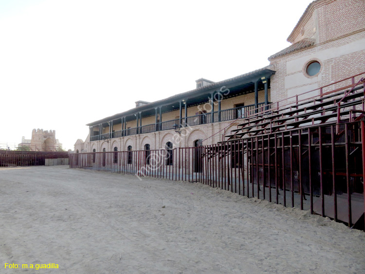 MADRIGAL DE LAS ALTAS TORRES (201) Hospital de la Purisima Concepcion