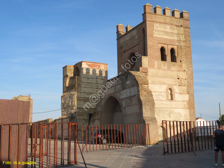 MADRIGAL DE LAS ALTAS TORRES (208) Puerta de Peñaranda