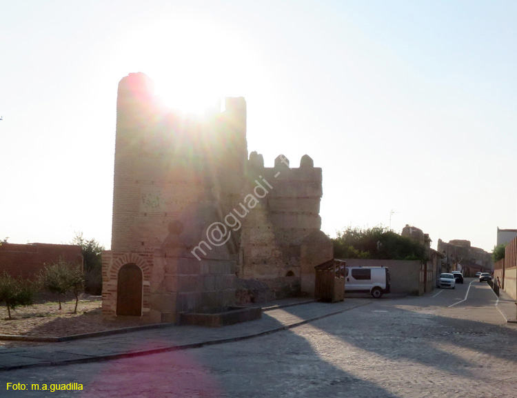 MADRIGAL DE LAS ALTAS TORRES (212) Muralla