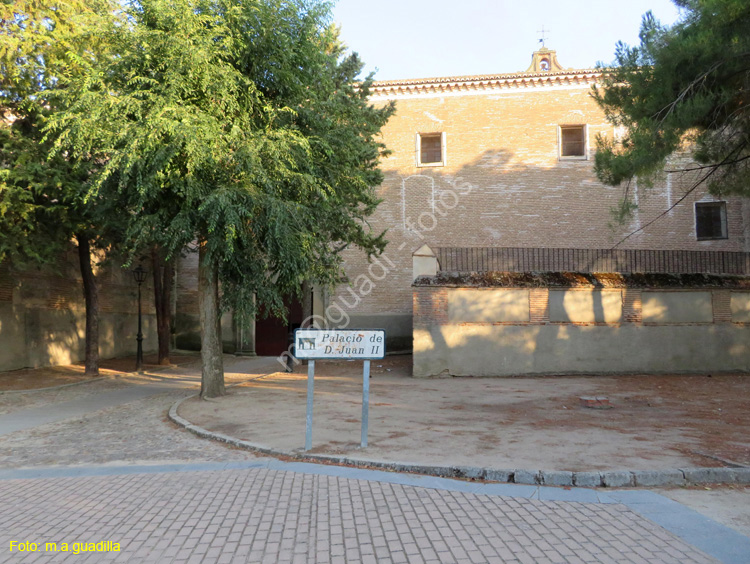 MADRIGAL DE LAS ALTAS TORRES (219) Palacio de Juan II