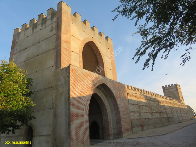 MADRIGAL DE LAS ALTAS TORRES (221) Puerta de Arevalo