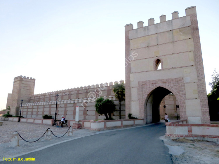 MADRIGAL DE LAS ALTAS TORRES (222) Puerta de Arevalo