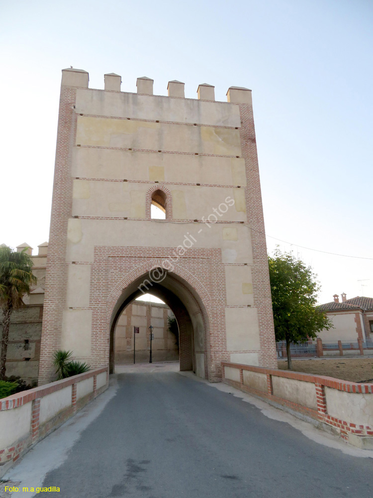 MADRIGAL DE LAS ALTAS TORRES (223) Puerta de Arevalo