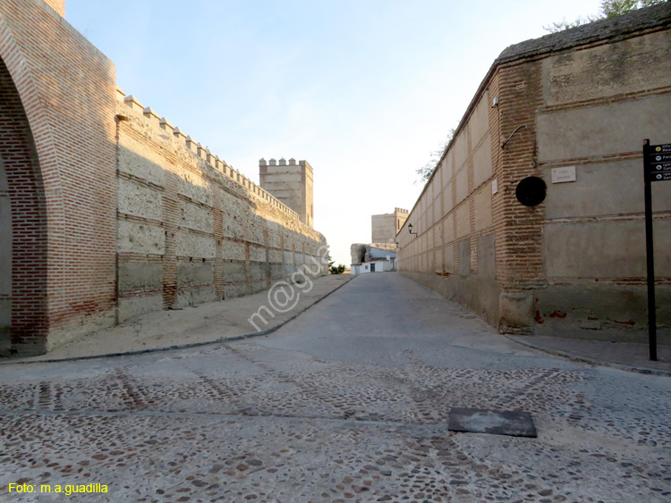 MADRIGAL DE LAS ALTAS TORRES (224) Muralla